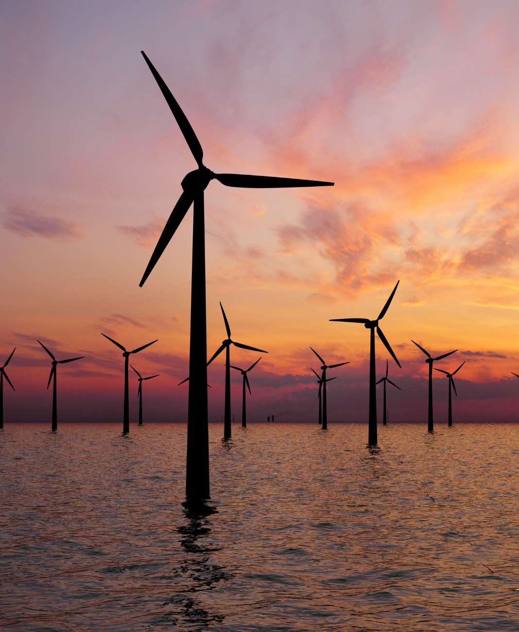 wind farm at sea